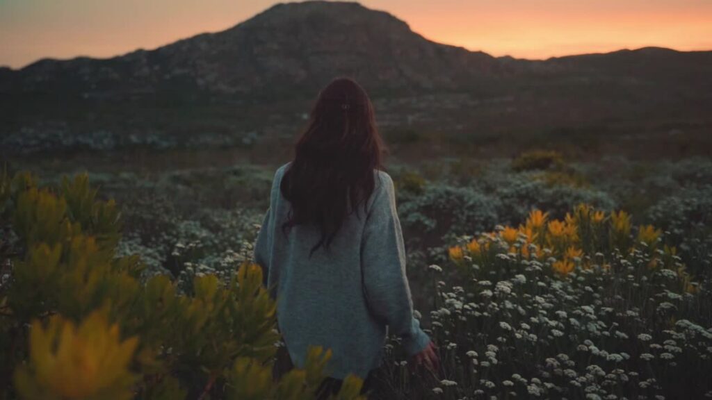 gelb modern natur zitate video 2